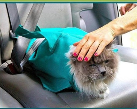 Pet Breathable Outdoor Travel Shoulder Bag Sling Carrier For Puppy, Small Dog or Cat