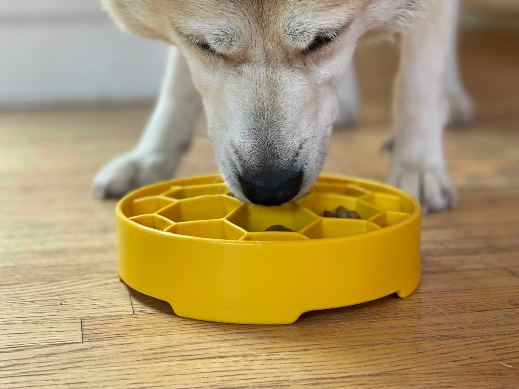 Honeycomb  Deep Slow Feeder Dog Bowl  | USA Made