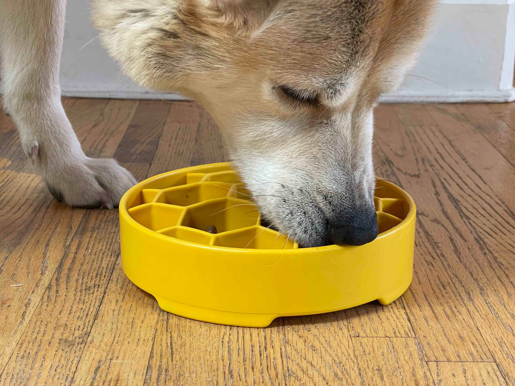 Honeycomb  Deep Slow Feeder Dog Bowl  | USA Made