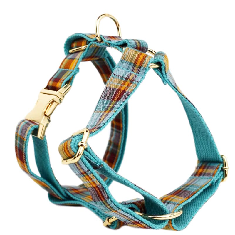 Autumn Blue Plaid Set