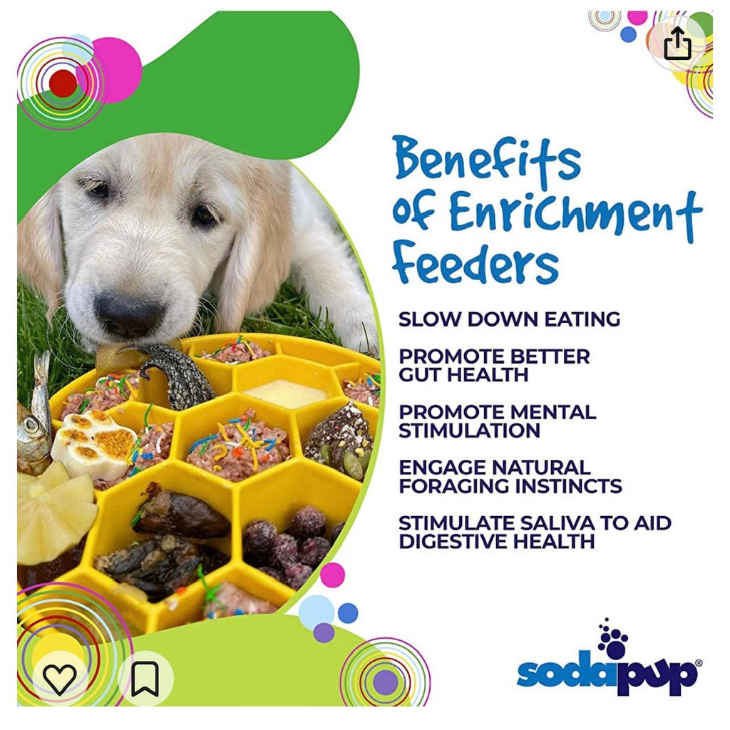 Honeycomb  Deep Slow Feeder Dog Bowl  | USA Made