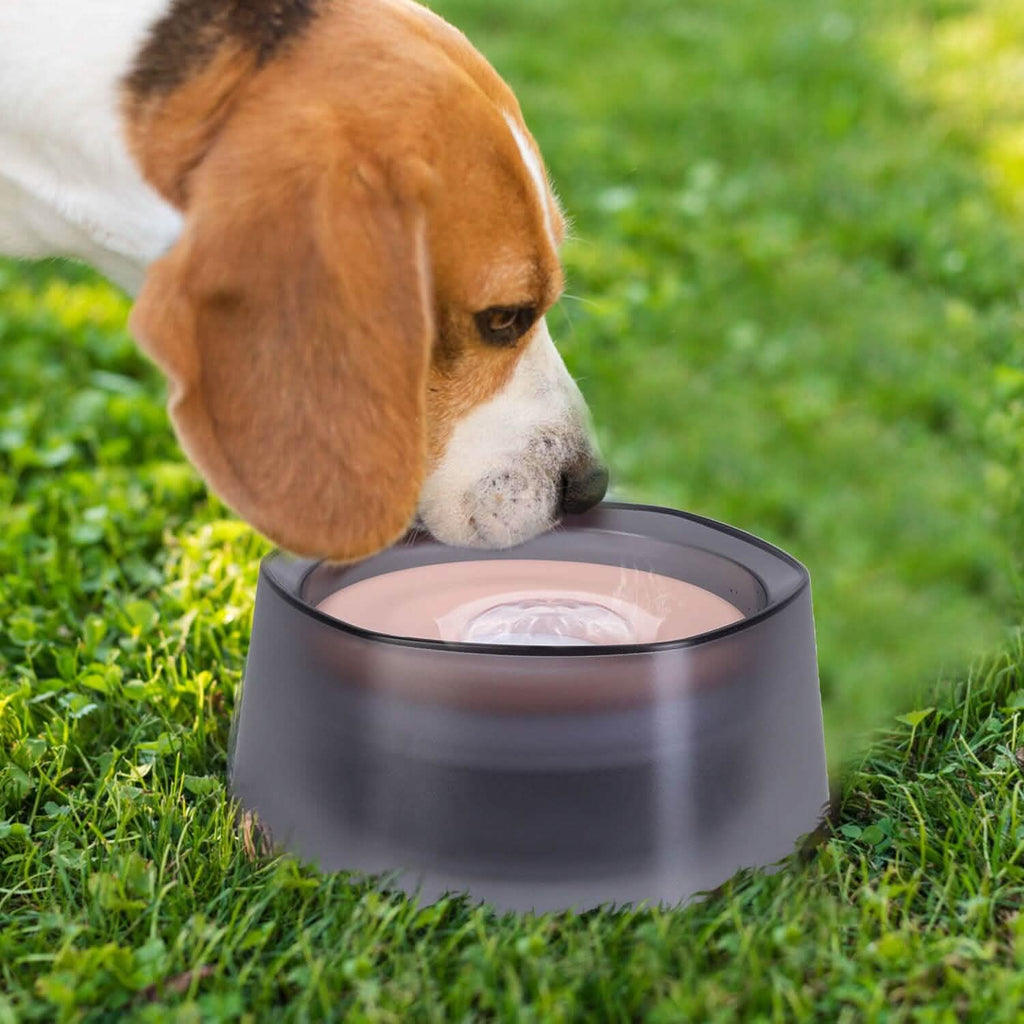 No Spill Dog Cat Water Bowl, Slow Water Feeder