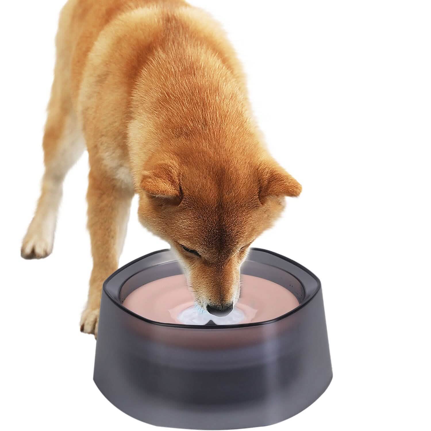 No Spill Dog Cat Water Bowl, Slow Water Feeder