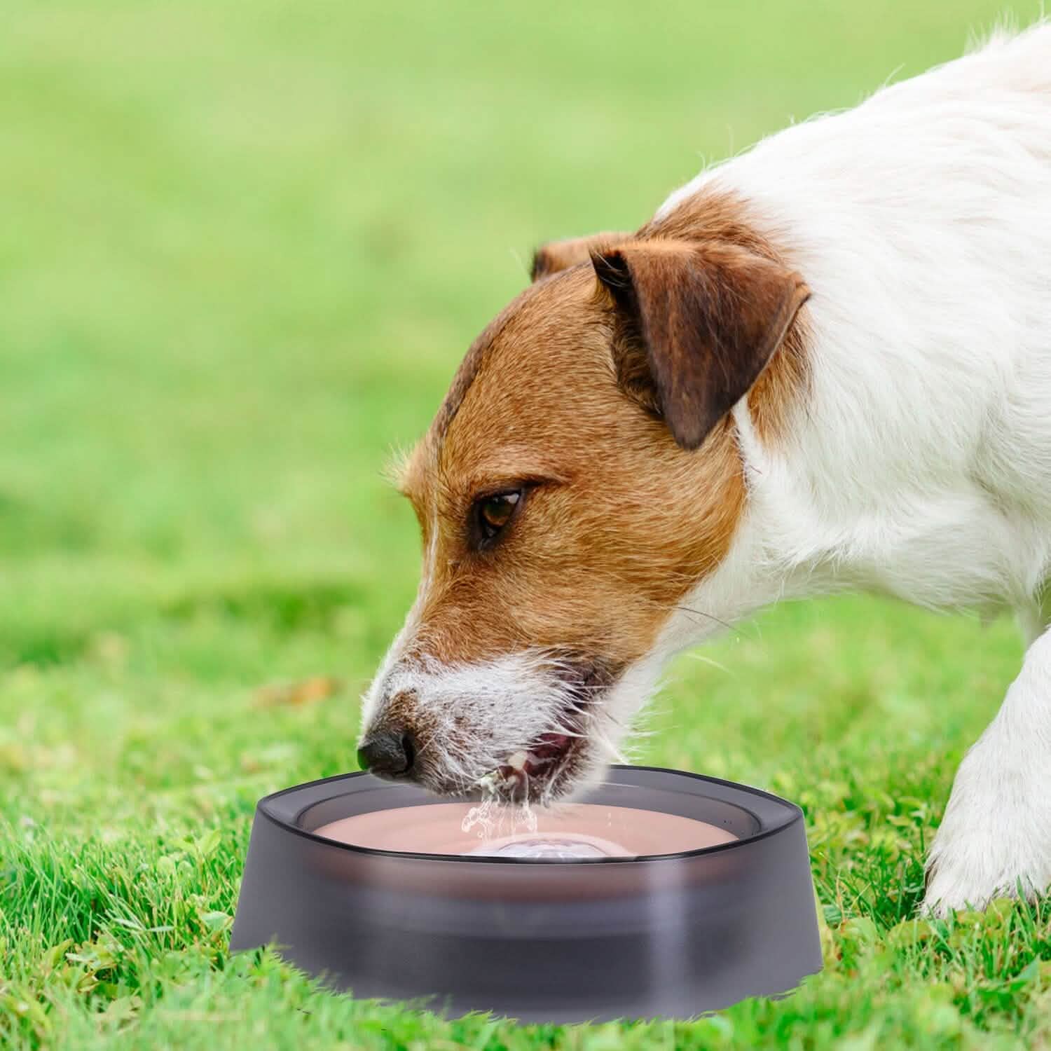 No Spill Dog Cat Water Bowl, Slow Water Feeder