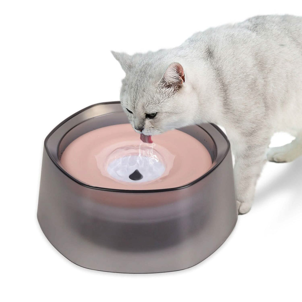 No Spill Dog Cat Water Bowl, Slow Water Feeder