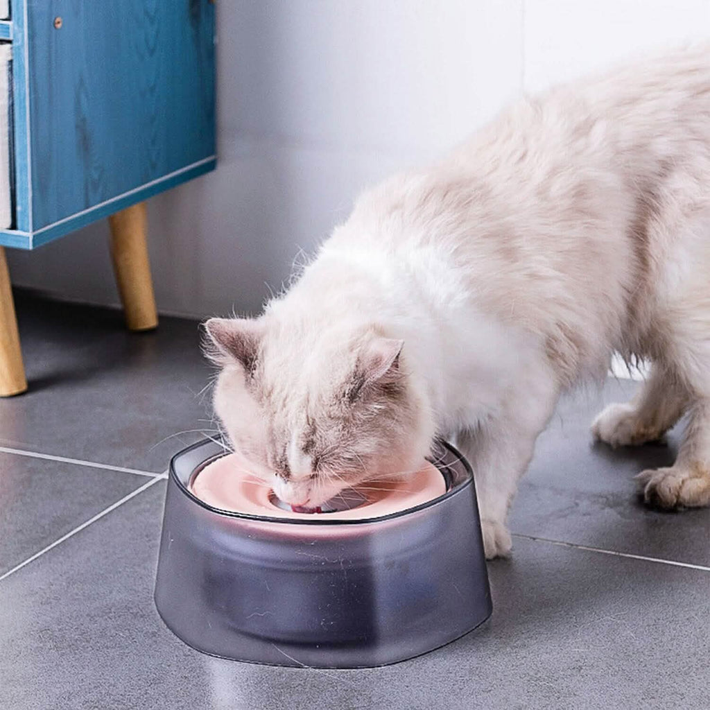 No Spill Dog Cat Water Bowl, Slow Water Feeder