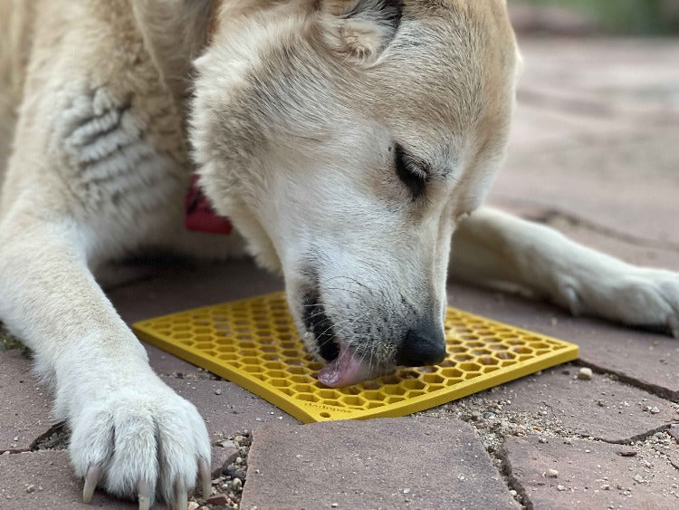 Honeycomb E-Mat - Enrichment Lick Mat for Dogs and Cats |